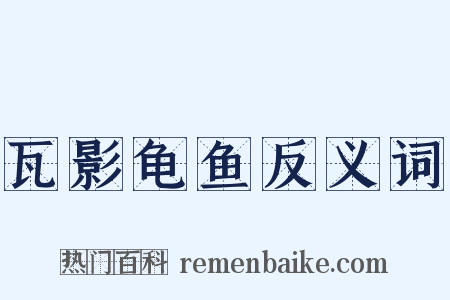 瓦影龟鱼反义词是什么意思的图片